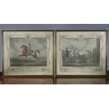 A pair of 19th century coloured engravings, each depicting a race-horse, 13¼” x 14¾”; together