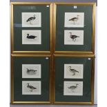 Eight small coloured prints of birds, 4¼” x 6¼”, displayed in four glazed gilt frames.