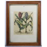 Three large coloured botanical prints; together with four other decorative pictures.