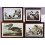 Eleven various large coloured prints of birds (various sizes), each in glazed frame.