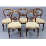 A set of five Victorian mahogany balloon back dining chairs with carved & pierced open backs, padded