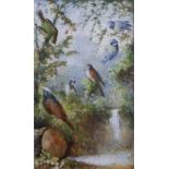 ENGLISH SCHOOL, 19th century. A group of three studies of birds in landscapes, watercolour, 4¾” x