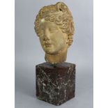 A sculptured white marble head of a Roman Goddess, after the antique; 9½” high, on rouge marble