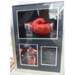 A boxed, framed and glazed display, featuring an Everlast right hand,