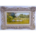 John Haskins - 'Shepherd & Flock at Broxbourne' oil on panel bears a signature & a gallery label