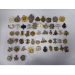 Approx fifty military cap badges and other insignia,