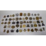 Approx fifty military cap badges and other insignia, some copies: to include The Royal Scots,