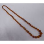 A graduated uniformly facet cut, amber coloured bead necklace,