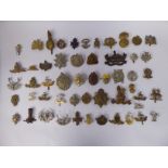 Approx fifty military cap badges and other insignia, some copies: to include the Royal Warwickshire,