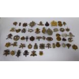 Approx fifty military cap badges and other insignia, some copies: to include Cameron,