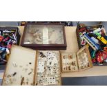 Three boxes of entomology and lepidopterist's' studies,