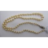 A seed pearl necklace,