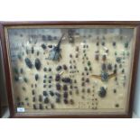 An early 20thC glazed cased entomology study 16'' x 22'' SR