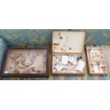 Three boxes of entomology and lepidopterist's' studies,