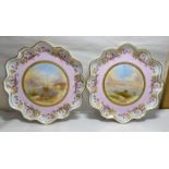 A pair of late 19thC porcelain plates,