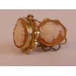 A pair of 9ct gold framed cameo set earrings