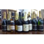 Ten bottles of various wines: to include a 2002 New Zealand Sauvignon blanc RAB