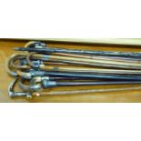 A collection of variously mounted walking sticks and canes RSB