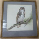 Alistair Rolason - 'Long-Eared Owl' watercolour bears a signature 14'' x 13.