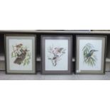 S Costello - three studies of various birds watercolour bearing signatures & dated '91 8'' x