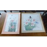 Two unframed 20thC Japanese studies of flowers and insects watercolours 23'' x 14'' & 21''sq