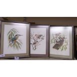 S Costello - three studies of various birds watercolour bears signature & dated '91 8'' x 12''