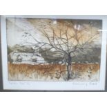 Rosemary Pettet - 'Spider Tree' Limited Edition 1/14 tinted etching bears a pencil inscription &