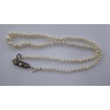 A single row pearl necklace, on a 9ct white gold clasp,