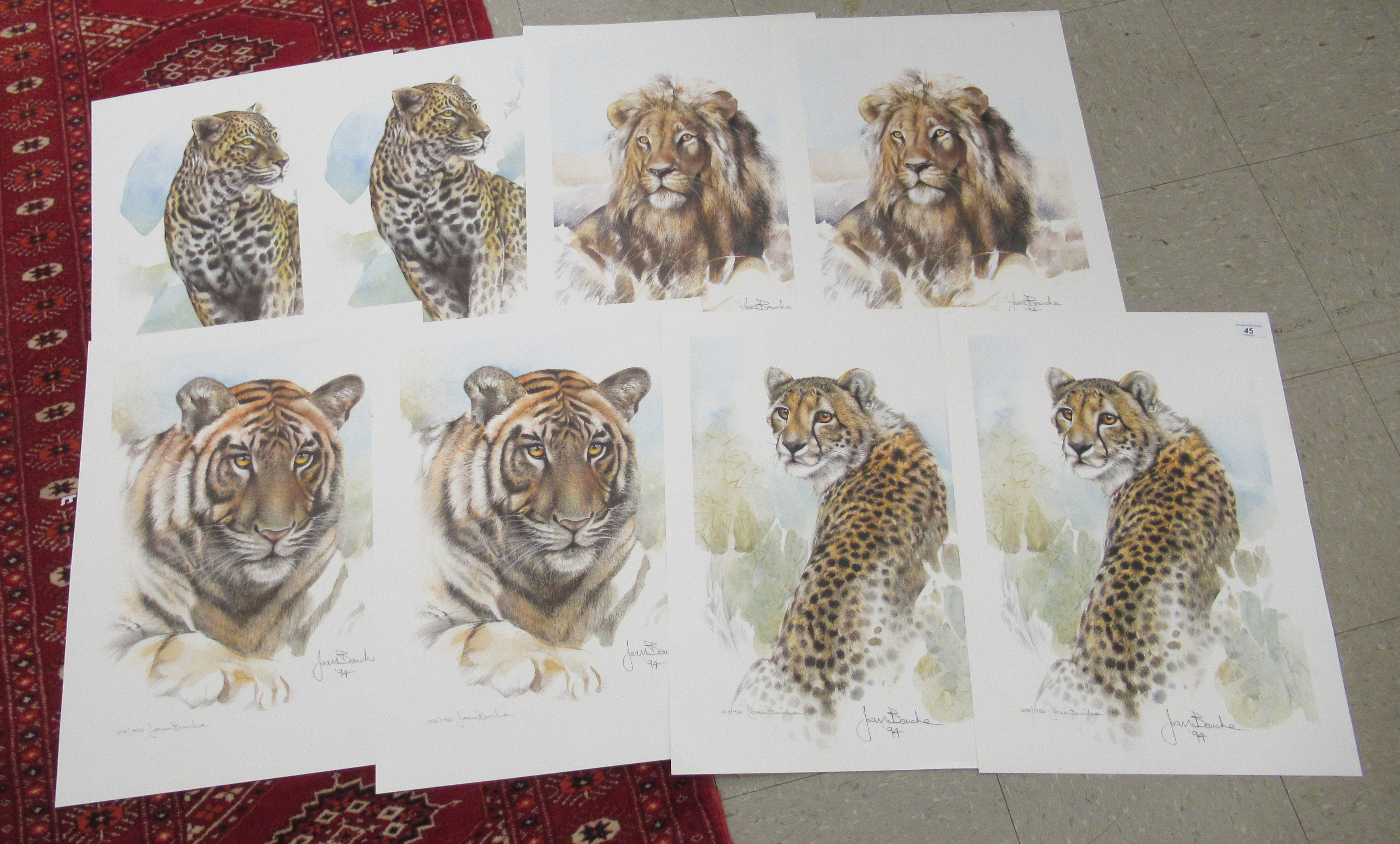 Joan Bouche - eight African wildlife Limited Edition prints, bearing pencil signatures 22'' x 16.