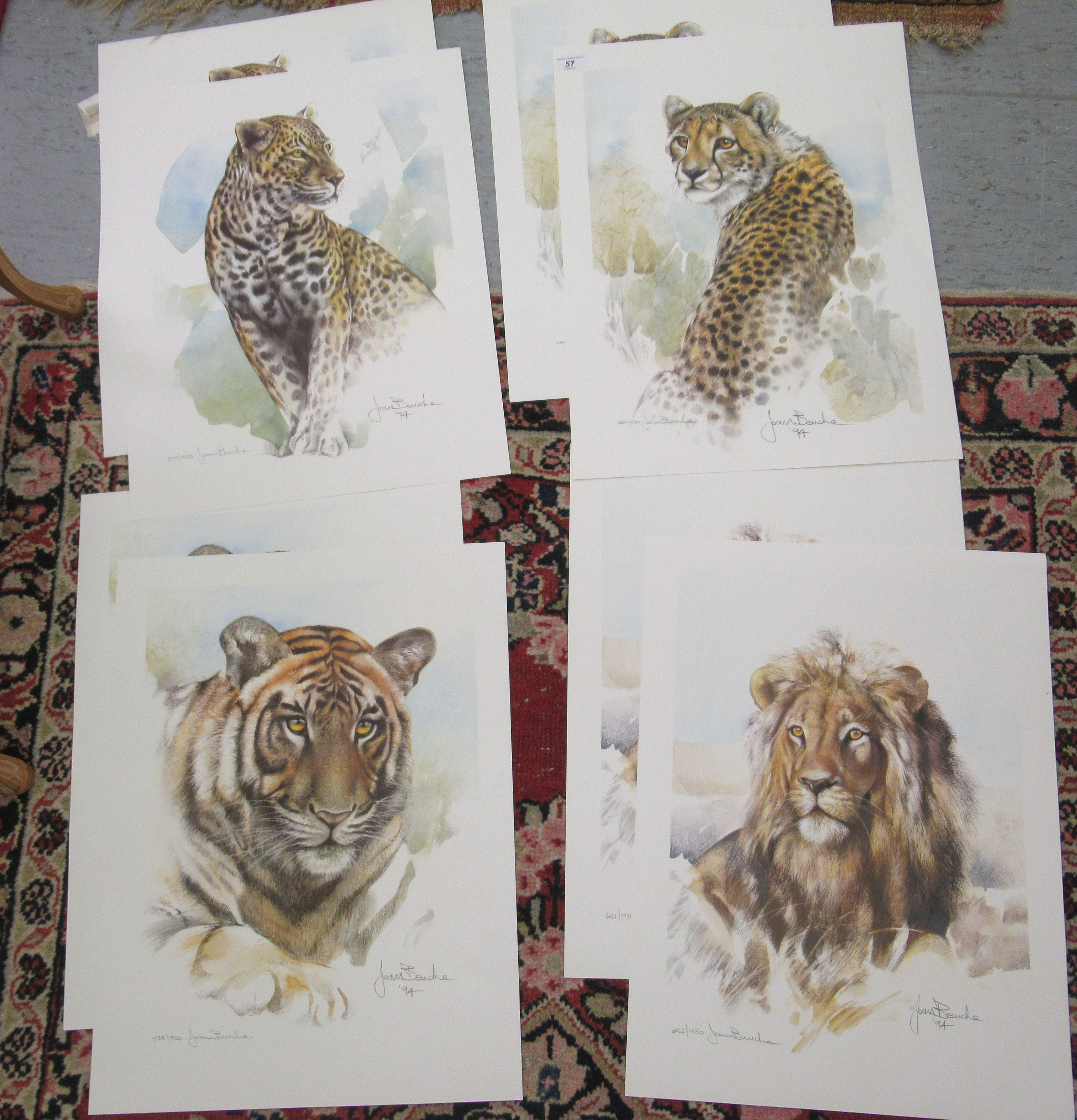 Joan Bouche - eight African wildlife Limited Edition prints, bearing pencil signatures 22'' x 16.