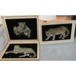 Pauline Landen - three individual studies of big cats mixed media bearing signatures two 18'' x