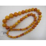 An amber coloured graduated bead necklace 11