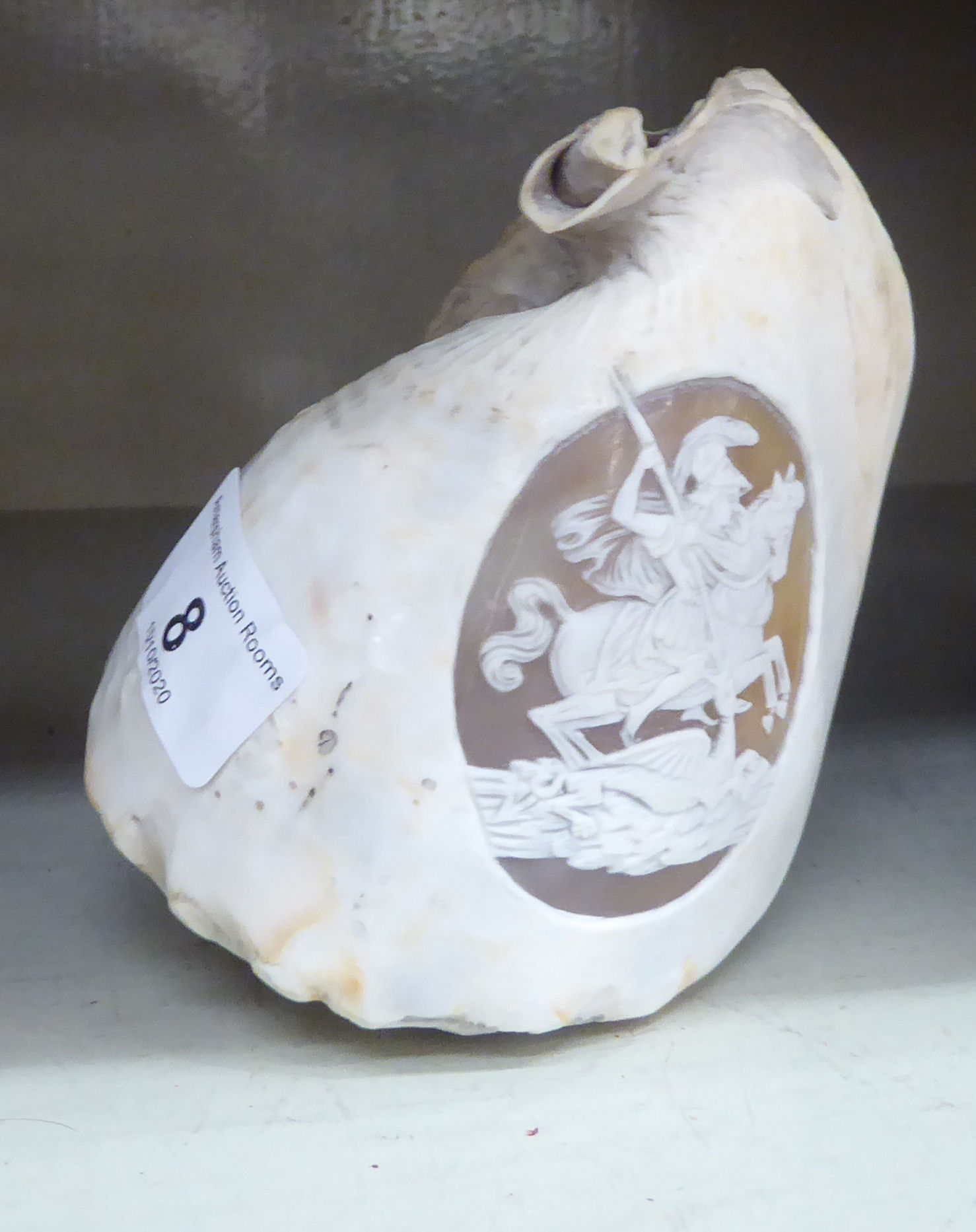 A late 19thC cameo carved conch shell, decorated with a Roman soldier, on horseback 4.