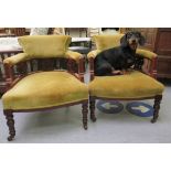 A pair of Edwardian mahogany framed horseshoe shaped salon chairs,