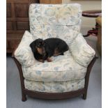 A modern Ercol teak framed lath back open arm chair with floral patterned fabric cushions CA