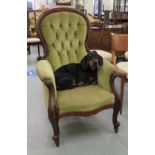 A late Victorian mahogany framed spoonback salon chair, upholstered in green fabric,