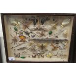 A glazed cased entomology and lepidoptery display 16'' x 12'' CA