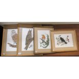 Four works by D Catlow - owls and other birds pen & watercolours bearing dates & signatures
