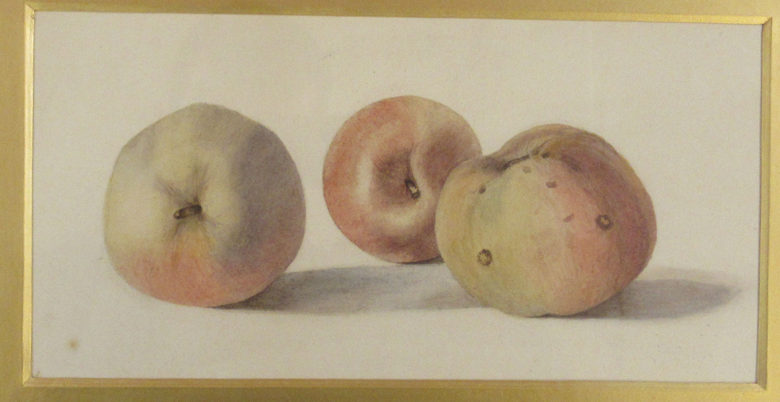 Two late 19th/early 20thC British School - still life studies, fruit watercolours 11. - Image 3 of 4