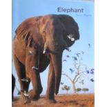 Bloom, Steve ElephantTwelve years in the making, this joyous celebration features elephants from the