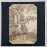 [FRENCH School, 19th century] [Two tree studies][FRENCH School, 19th century] [Two tree studies]. [