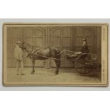 Louise ABEL (1841-1907) Woman and man posing with a two wheel cartLouise Doris Sophie Pauline