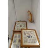 Taxidermy and cigarette cards