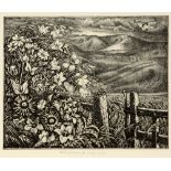 Robin Tanner - etching.