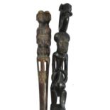 Two African walking sticks