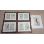 Framed pictures