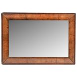 A 19th Century walnut cushion framed mirror