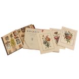 An album of lincrusta; and a folio of flower prints.