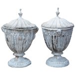 Pair of 19th Century covered garden urns