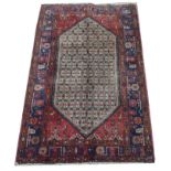 Sarab rug